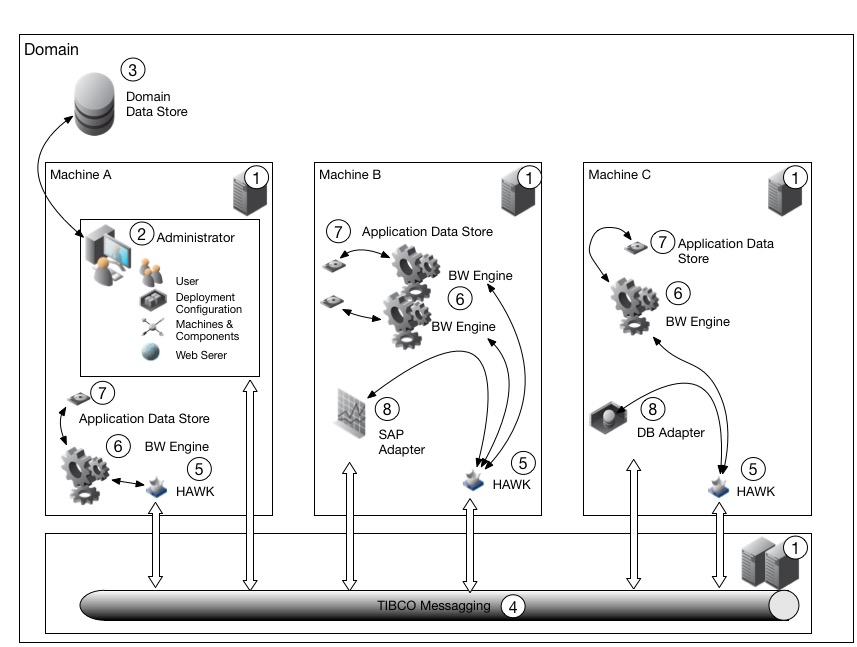 BW5 Domain Overview